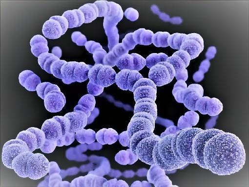 肺炎球菌20價結合疫苗